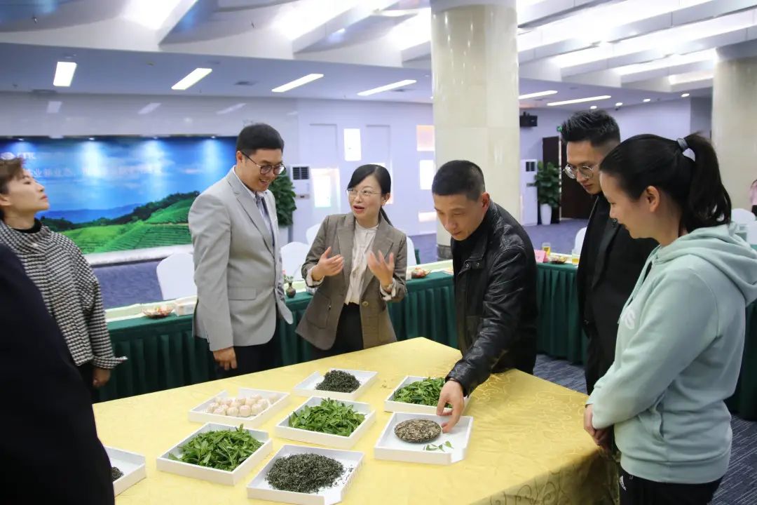 2023年度粤桂澳春茶品鉴会在广州国际茶叶交易中心成功举行！