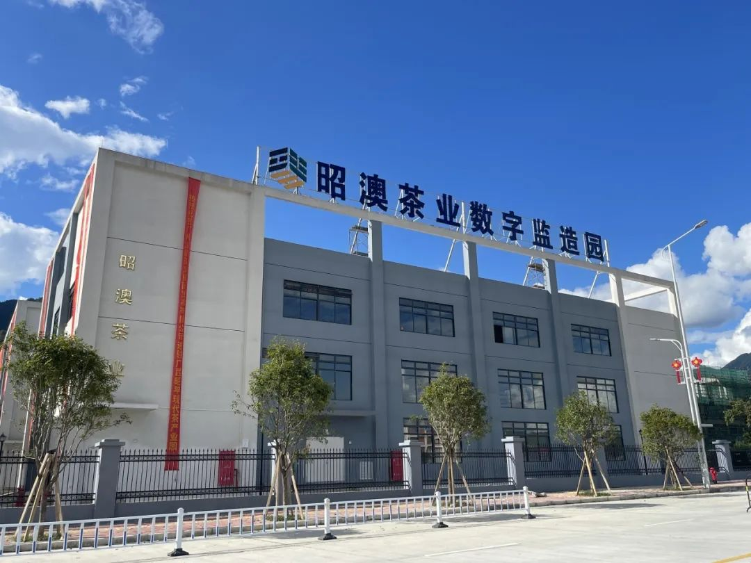 共建昭澳茶业数字监造园