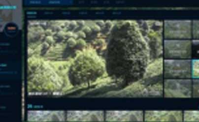 广州国际茶叶交易中心与广西将军峰茶业集团有限公司达成战略合作协议